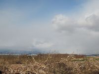 �ߤ���äƤ��ޤ��� 