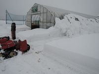 �����ƺ�������㡦���� 