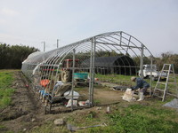 �ӥˡ��뤬������������ѤǤ����� 