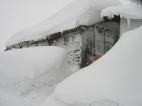 �����ޤǹߤ�ʤ��ä��äƤ�������ʤ��Ǥ����������� 