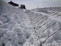 �ѥ��פ򷡤�Ф��� 