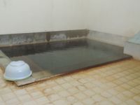 �����������ζ�Ʊ��� 