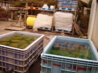 ������ǺѤߤμ�����ã�ʤ�ޤ����� 