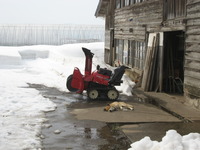 ��������뿲 