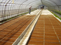 �����˼�������Ȣ��ϥ������¤٤Ƥޤ��� 