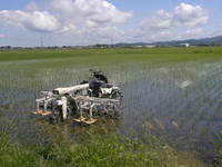 ������ˤ�ꥹ�������٤줿���� 