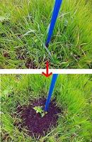 �夬�����������Ͻ���塣 