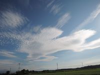 �������α� 