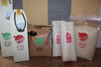 äȤڻ£Ѥ˥ƥɣ£ϣءʺ¦