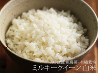 �ȤäƤ⡢���������ơ�