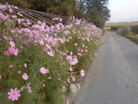 �����⥹���� 