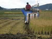 �𴢤���Ⱦ������ޤ������籫�����ϡ��̤����Ǥޤ��� 