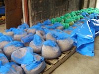 ��������Ф����ƴ��礷�Ƥޤ��� 