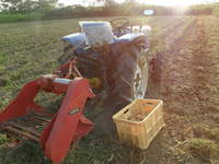 ���㥬����μ��Ϻ�� 