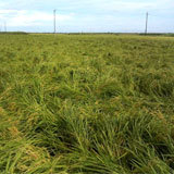 �������������Ƥ��ޤ��ޤ��������� 