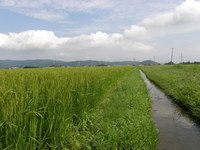 �д��Ǥ�������������� 