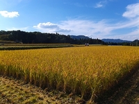 �𴢤���ͻҡ� 