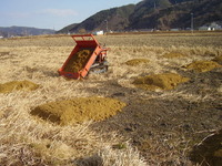 ������̤˻���������ޤ����� 