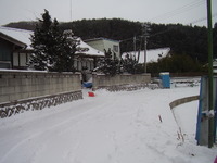 �ܳ�Ū����ߤ�ޤ����� 