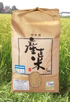 宮城のこだわり米(つや姫)