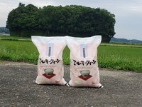 ミルキークイーン