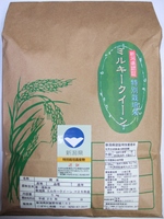 新潟県産 認証特栽米(減農薬・減化学肥料栽培米) ミルキークイーン